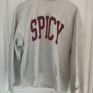 Abercrombie & Fitch Gray Crewneck Sweatshirt